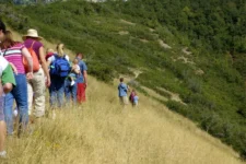 How Do You Manage Meal Planning for Large Family Groups?