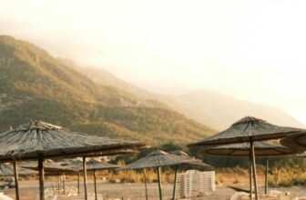 What Are the Essentials of Desert Survival?