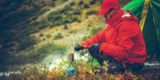 Minimalist Survival: Thriving With Bare Essentials