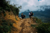 What Are the Best Scenic Hiking Trails Perfect for Beginners?